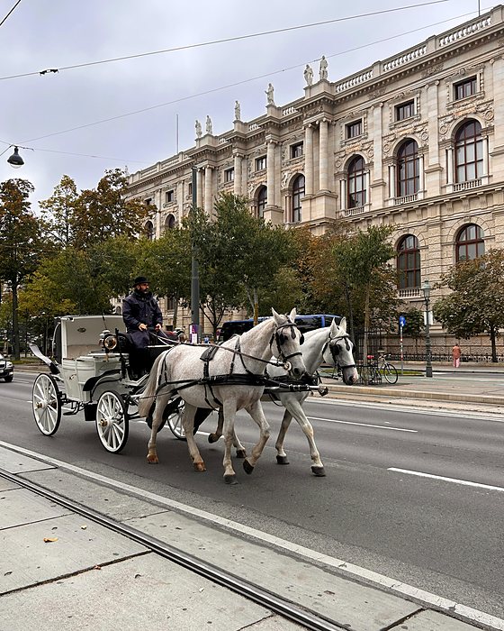 A carriage drawn by white horses in front of a large historic building